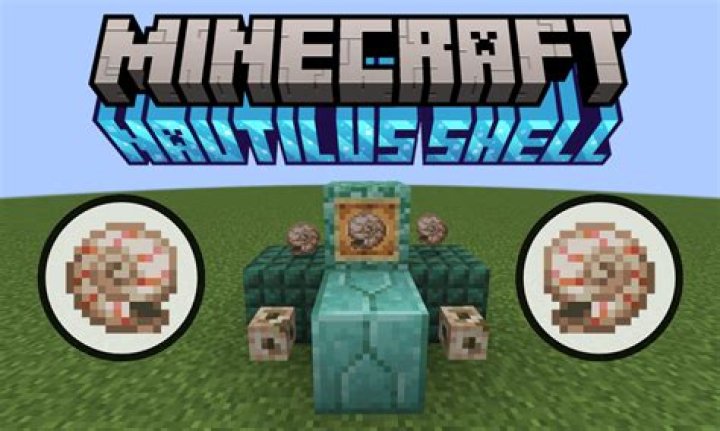 What to do with nautilus shell minecraft