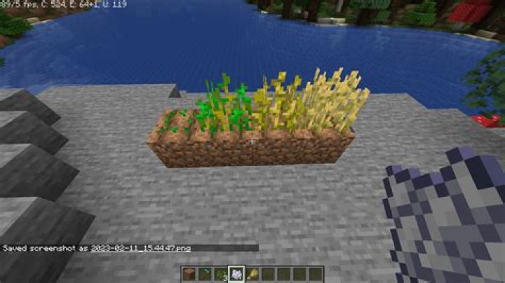 What to do with wheat in minecraft