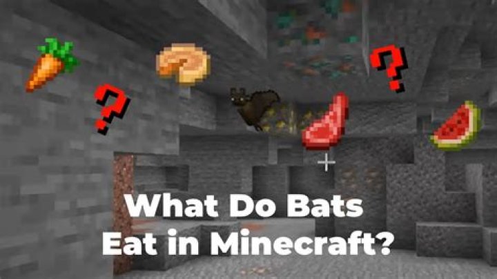 What to feed bats in minecraft