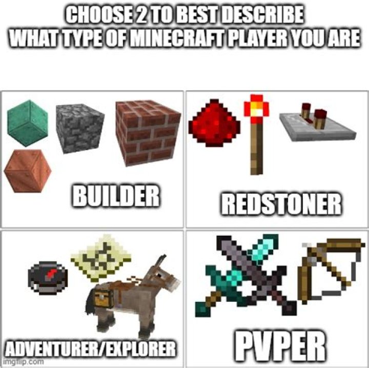What type of minecraft player are you