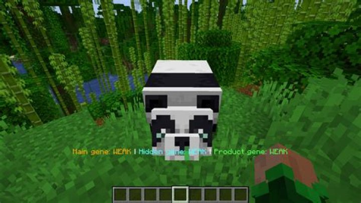When were pandas added to minecraft