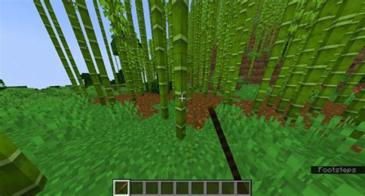 Where can i find bamboo in minecraft