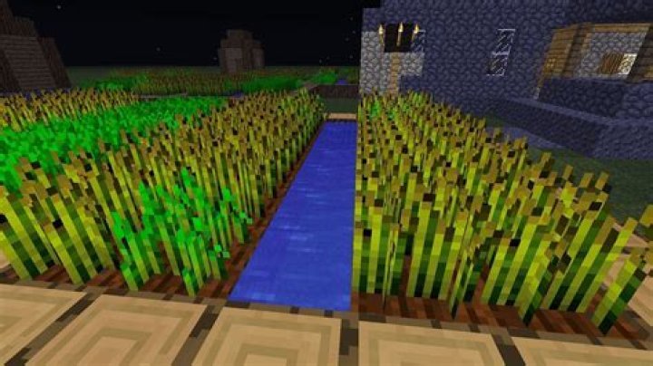 Where can i find wheat in minecraft