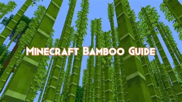 Where can you find bamboo in minecraft