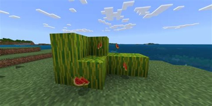 Where can you find melons in minecraft