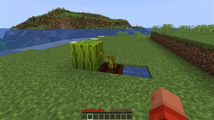 Where do melons grow in minecraft