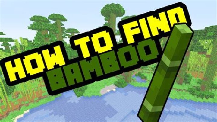 Where do you find bamboo in minecraft