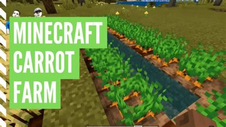 Where to find carrot seeds in minecraft