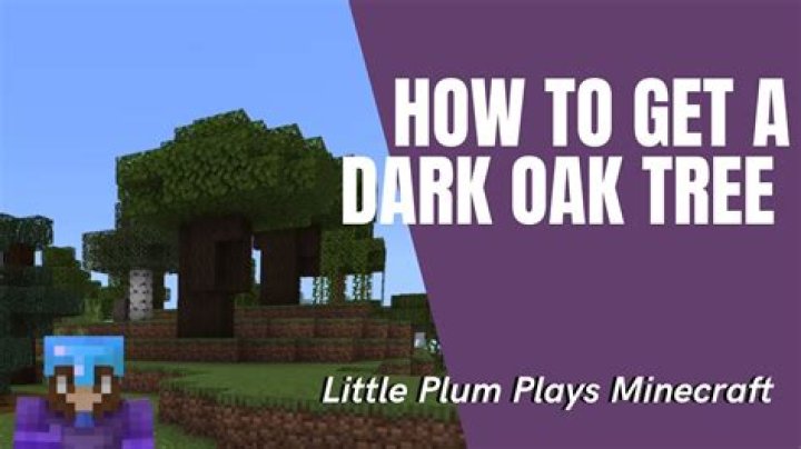 Where to find dark oak in minecraft