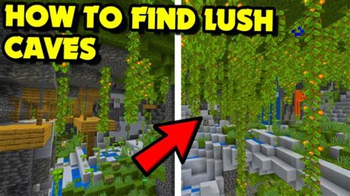 Where to find lush caves in minecraft