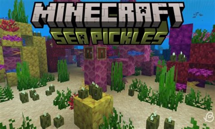 Where to find sea pickles in minecraft