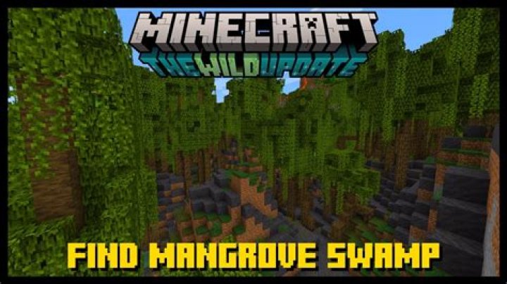 Where to find swamps in minecraft