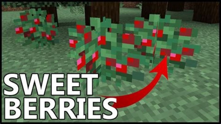 Where to find sweet berries in minecraft