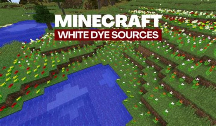 Where to get white dye in minecraft