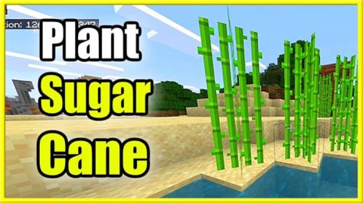 Where to plant sugar cane in minecraft