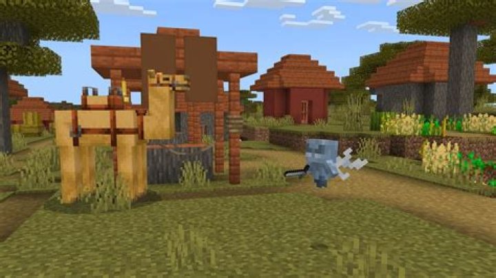 Why isn’t my minecraft working on ps4